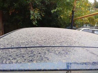 На Кубани прошёл коричневый снег и дождь