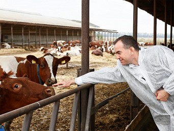 На Кубани значительно увеличат объёмы производства мясомолочной продукции