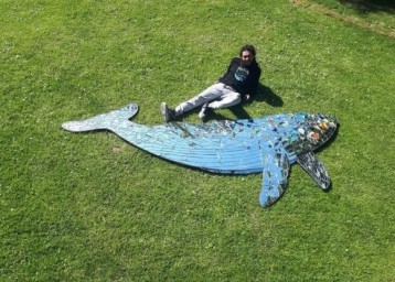 Жителям Сочи представят зеркального кита