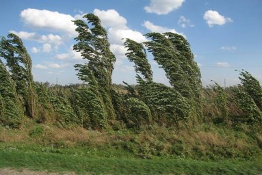 Ветер в Краснодаре