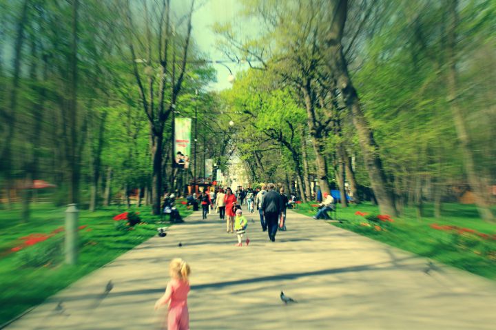 Парк «Чистяковская роща» в Краснодаре