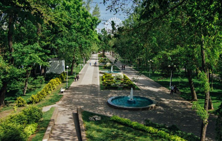 Городские парки Краснодара признаны лучшими в России