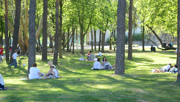 В Краснодаре вновь затронули тему парков